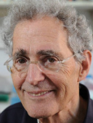 פרופ' אמריטוס חיים סידר