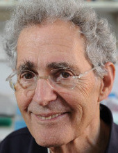 פרופ' אמריטוס חיים סידר